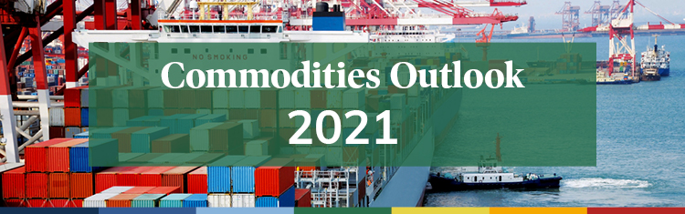 2021 Commodities Outlook Rhona Campaign_Featured Insights Banner.jpg